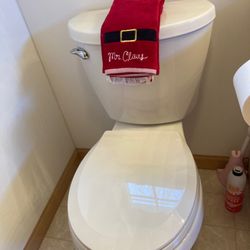 Interior Vision Remodeling - Toilet Installed