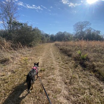 Upper Tampa Bay Trail - Foot traffic only trail - Hiking Near Me - Odessa, Florida Upper Tampa Bay Trail - Foot traffic only trail - Hiking Near Me - Odessa, Florida