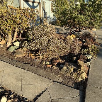 Pablo's Landscaping & Irrigation - Rock garden - Landscaping Near Me Pablo's Landscaping & Irrigation - Rock garden - Landscaping Near Me