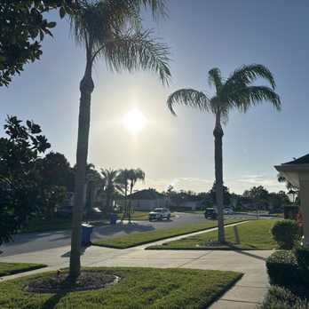 J Trimming Tree Service - After - Tree Services Near Me - Orlando, Florida J Trimming Tree Service - After - Tree Services Near Me - Orlando, Florida