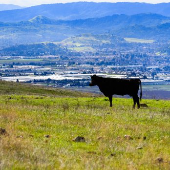 Bay Area Homes Silicon Valley - Real Estate Agents Near Me - Morgan Hill, California Bay Area Homes Silicon Valley - Real Estate Agents Near Me - Morgan Hill, California