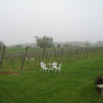Three Fox Vineyards & Brewery - Wineries Near Me - Delaplane, Virginia