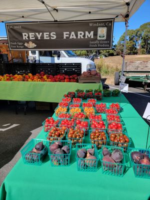 Sunday Marin Farmers' Market by null