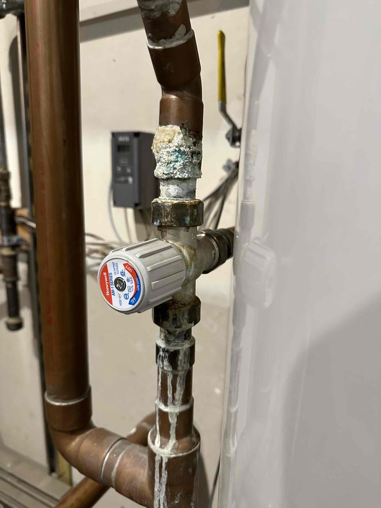 Slide of Ready Rooter