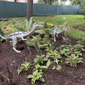 Saint Louis Zoo - Animatronic dinosaurs - Zoos Near Me - St Louis, Missouri Saint Louis Zoo - Animatronic dinosaurs - Zoos Near Me - St Louis, Missouri
