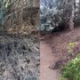Reliable Landscaping