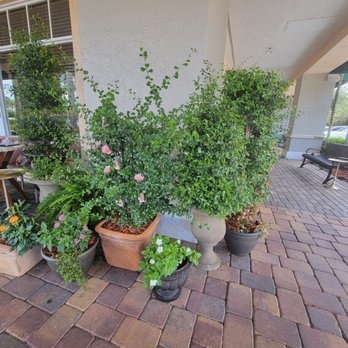 Little Hen - Outside - Breakfast & Brunch Near Me - Weston, Florida Little Hen - Outside - Breakfast & Brunch Near Me - Weston, Florida
