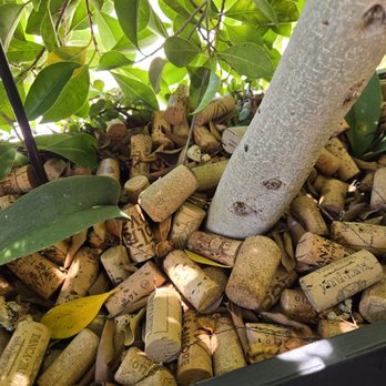 Carasau - Corks! - Sardinian Near Me - Culver City, California