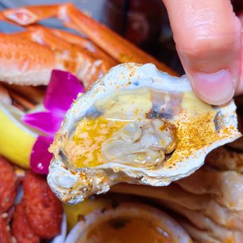 Off The Hook Raw Bar & Grill - a person holding a shell of oyster - Seafood Near Me - Astoria, New York Off The Hook Raw Bar & Grill - a person holding a shell of oyster - Seafood Near Me - Astoria, New York