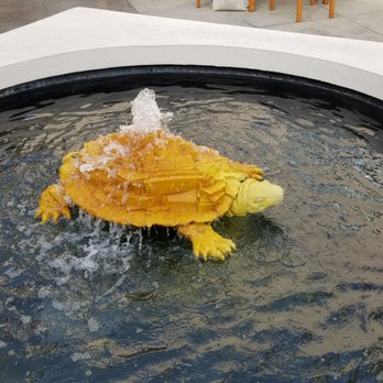 Plaza Las Fuentes - Turtle! - Shopping Centers Near Me - Pasadena, California Plaza Las Fuentes - Turtle! - Shopping Centers Near Me - Pasadena, California