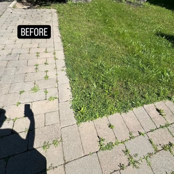 Trimking Landscaping Services - Lawn Services Near Me Trimking Landscaping Services - Lawn Services Near Me