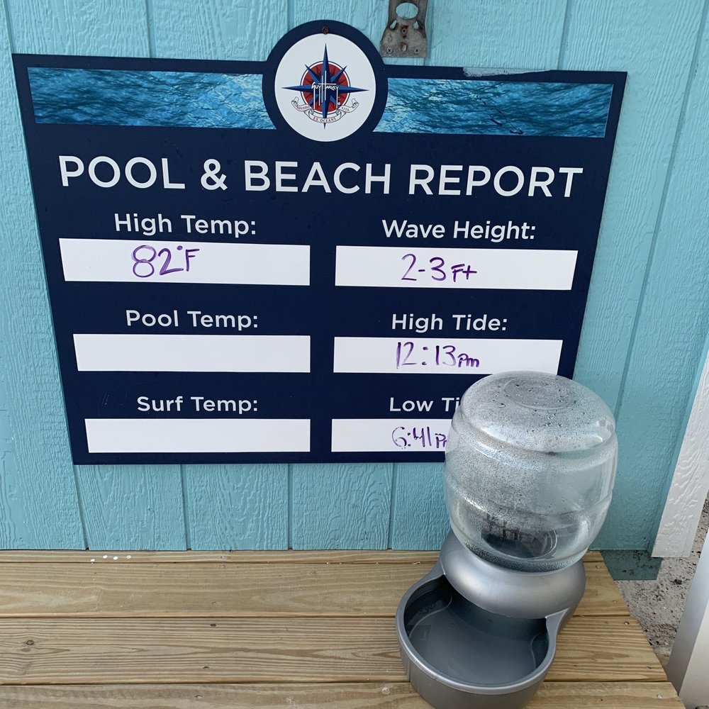 Guy Harvey Resort St Augustine Beach - Daily stats and doggy water - Resorts Near Me - Saint Augustine Beach, Florida Guy Harvey Resort St Augustine Beach - Daily stats and doggy water - Resorts Near Me - Saint Augustine Beach, Florida