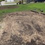 Root Wreckers Stump Grinding