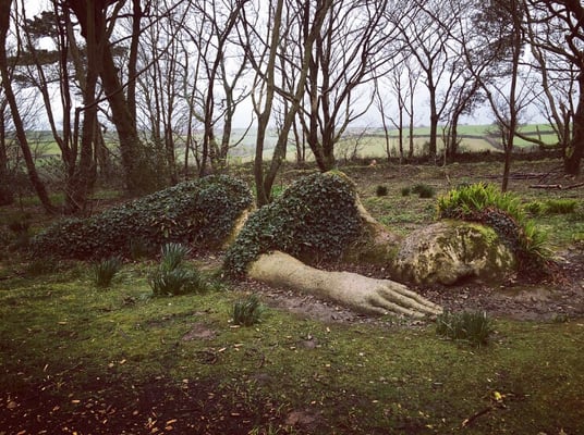 The Lost Gardens of Heligan by null