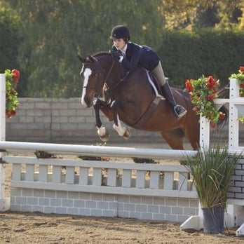 Ever Wood Stables - Showing at home - Horseback Riding Near Me - Burbank, California Ever Wood Stables - Showing at home - Horseback Riding Near Me - Burbank, California