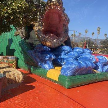 Pasadena Pumpkin Patch - Crocodile jumper - Pumpkin Patches Near Me - Pasadena, California