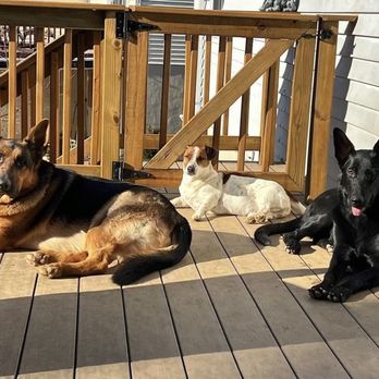Pawsitive Image Grooming Spa - Pet Groomers Near Me - Elkridge, Maryland