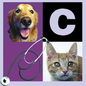 Carter Veterinary Medical Center - Veterinarians Near Me - Carmel, Indiana Carter Veterinary Medical Center - Veterinarians Near Me - Carmel, Indiana