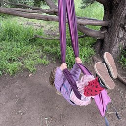 Tree swing