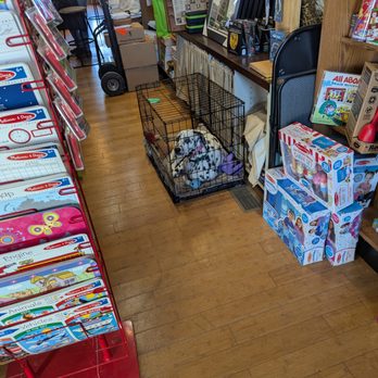 Fenton’s Open Book - Doggy - Bookstores Near Me - Fenton, Michigan Fenton’s Open Book - Doggy - Bookstores Near Me - Fenton, Michigan