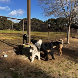 Cipriani Dog Park - Making new friends! Hee