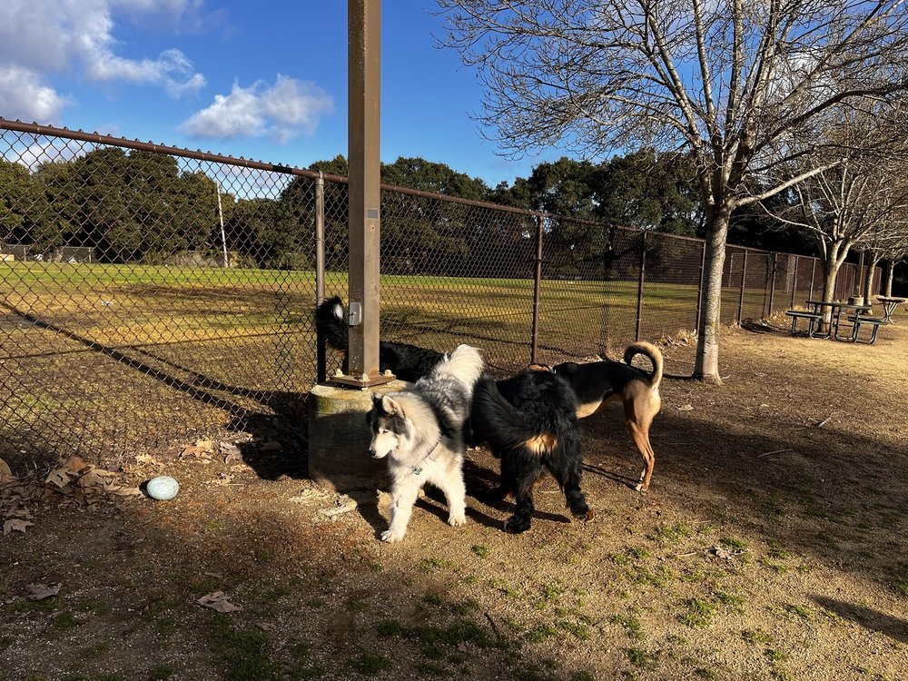 Cipriani Dog Park Logo
