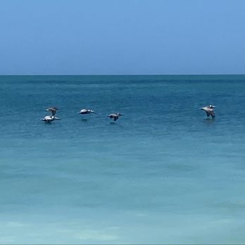 Hubbard's Marina - Aerodynamic Divers - Boating Near Me - Madeira Beach, Florida