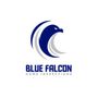 Photo of Blue Falcon Home Inspections