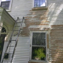 Realistic Painting - Quality work Guaranteed