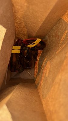 Lucky Catch Cruises by null