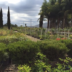 Performance Gardens - No need to look anywhere else!