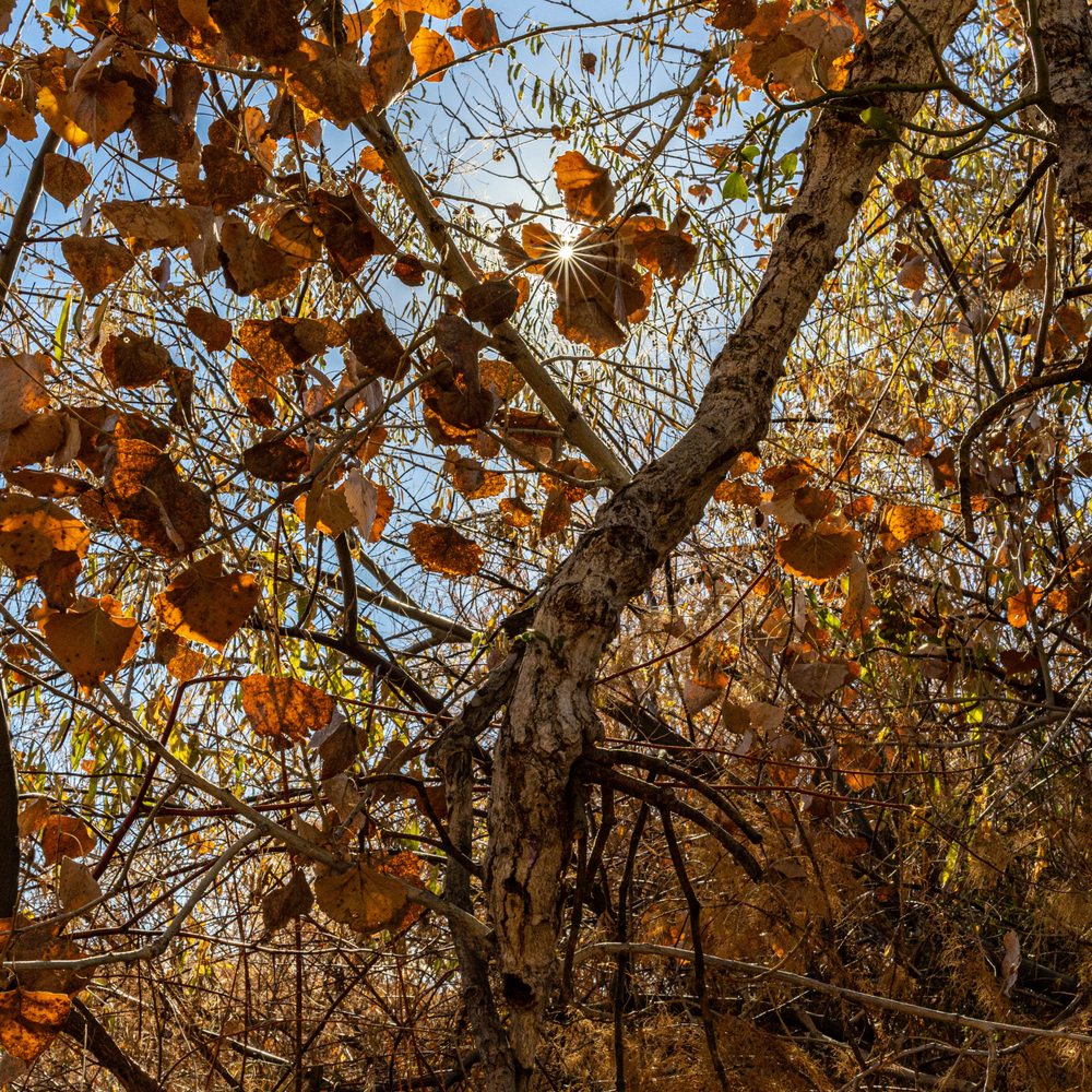 Otero Park - Otero Park - Parks Near Me - Socorro, New Mexico
