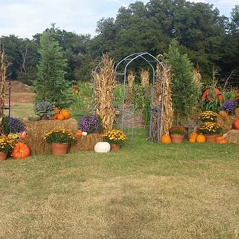 Gardentown - A Fall set up by gardentown, have the staff get your yard decorated for the current season, or stop by and get what you need for your DYI. - Nurseries & Gardening Near Me - Duncan, Oklahoma