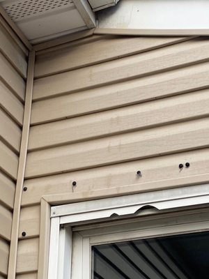 Knockout Pest Control