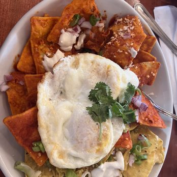Grove Brunch Cafe - Chilaquiles - Breakfast & Brunch Near Me - El Paso, Texas