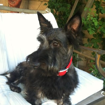 Pet Stop - Pet Stores Near Me - Rancho Cucamonga, California