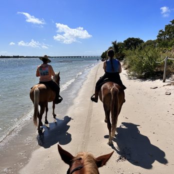 Palomino Ranch & Tours - Horseback Riding Near Me - Miami, Florida