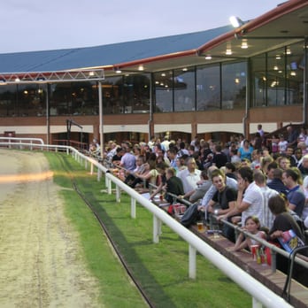 Peterborough Greyhounds - Arts & Entertainment Near Me Peterborough Greyhounds - Arts & Entertainment Near Me