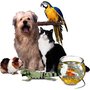 Photo of Pets 2 Impress