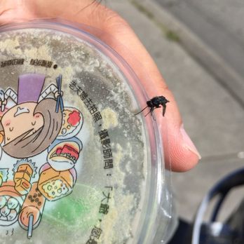 Bubble King - Bubble Tea Near Me - Vancouver, British Columbia Bubble King - Bubble Tea Near Me - Vancouver, British Columbia