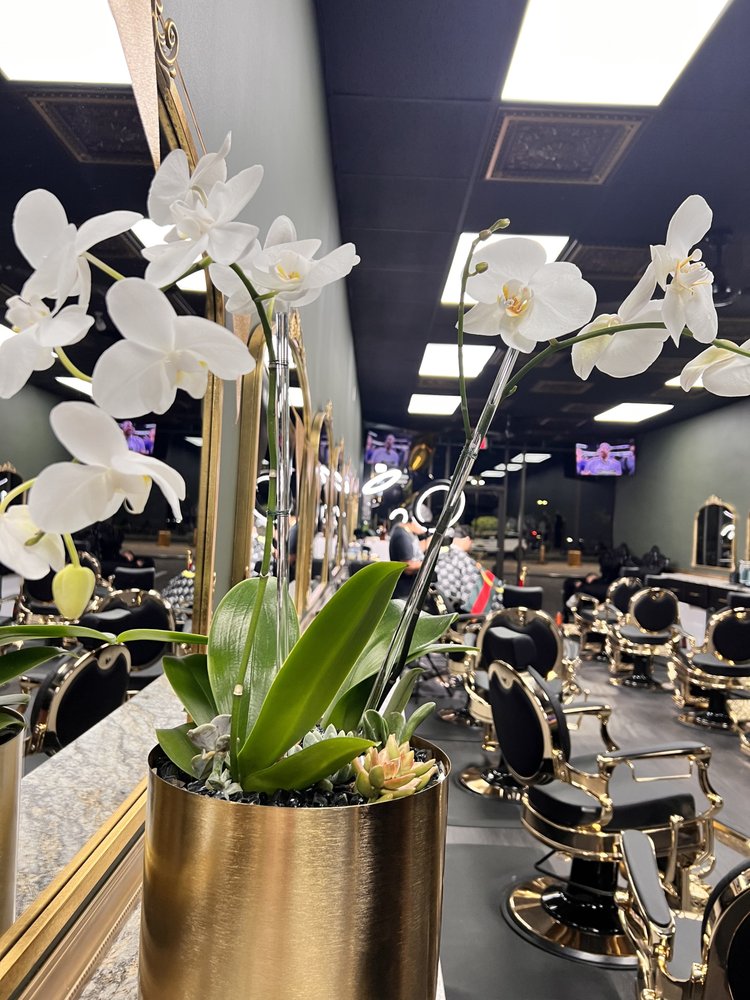 PROPER BARBER & CO Updated September 2024 21 Photos 4116 S