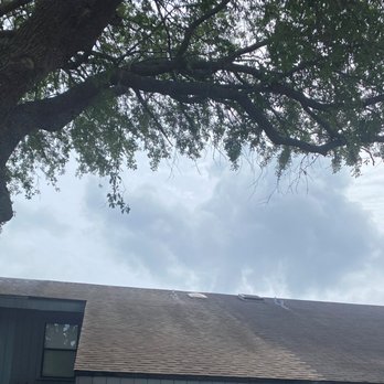 Old Timey Trees - Tree Services Near Me