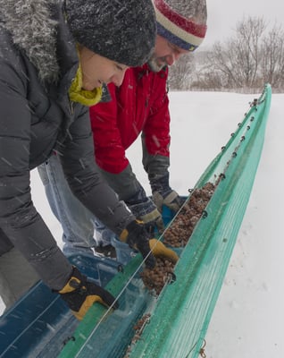Vignoble de l’Orpailleur by null