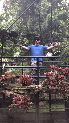 Malagos Garden Resort by null