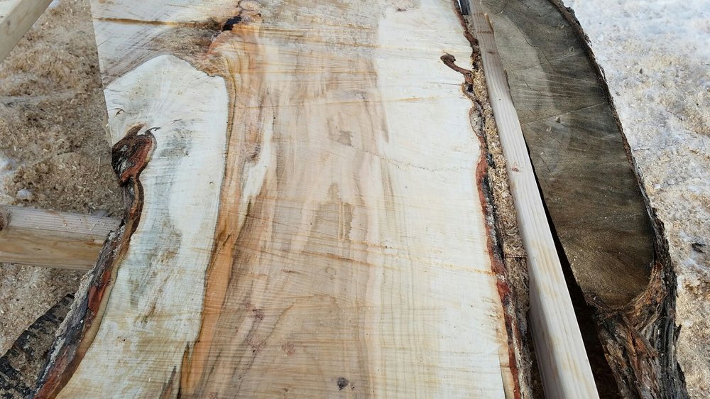 City Of Treez Tree Service - tree service in Boise, ID