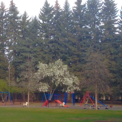 Edworthy Park by null