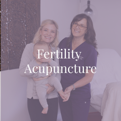 Willow Tree Acupuncture and Wellness Clinic - Fertility Acupuncture specialists for the past 20 years in Portland