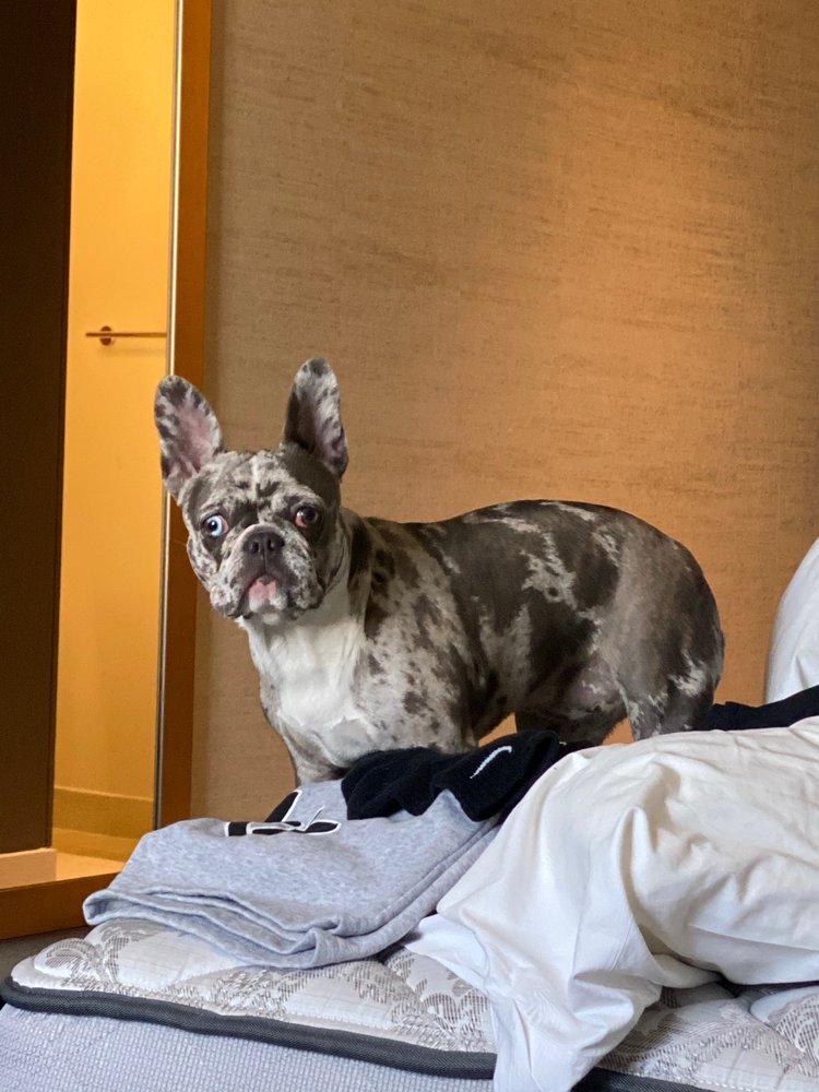 RAW AND KIBBLE Updated August 2024 34 Photos 8767 SW 24th St