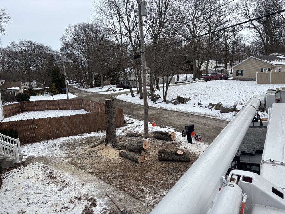 Johnny,s Tree Service - tree service in Johnston, RI