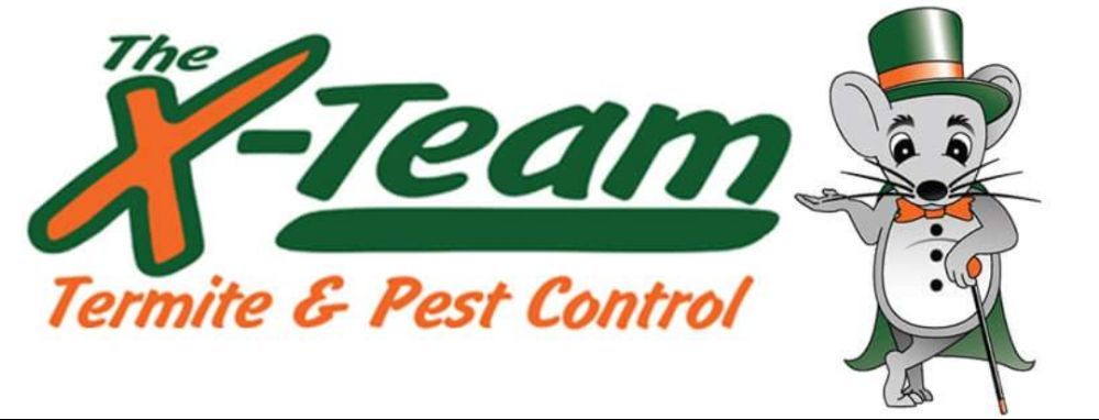 Pest Control New Bern Nc